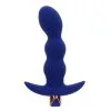 Risque Buttplug