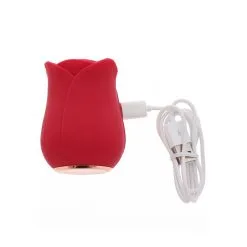 Ravishing Rose Pulse Stim -Bondage winkel 10376 RED 05