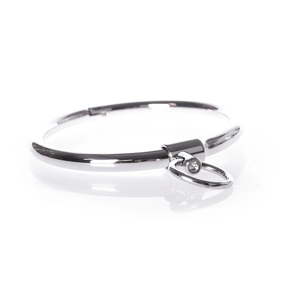 Cathedral Stalen Halsband 1 Cathedral Stalen Halsband