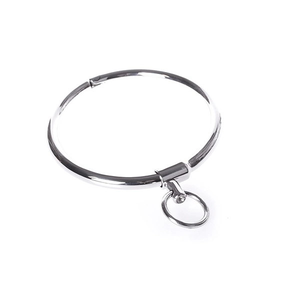 Cathedral Stalen Halsband 2 Cathedral Stalen Halsband - Afbeelding 2