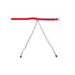 Halsband Met Tepelklemmen