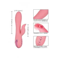 Pasadena Player -Bondage winkel 13447 PINK 06