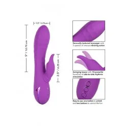 Valley Vamp 9 Valley Vamp -Bondage winkel 13449 PURPLE 06