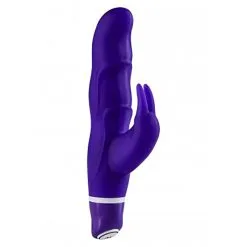 My Favorite Mini Rabbit