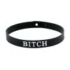 Halsband Bitch