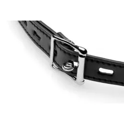 Siliconen Gag Met Tepelklemmen 7 Siliconen Gag Met Tepelklemmen -Bondage winkel AE976 2