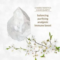 La Gemmes Buttplug Bergkristal 11 La Gemmes Buttplug Bergkristal -Bondage winkel E29267 3 hr