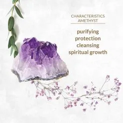 La Gemmes Buttplug Amethist 11 La Gemmes Buttplug Amethist -Bondage winkel E29269 3 hr