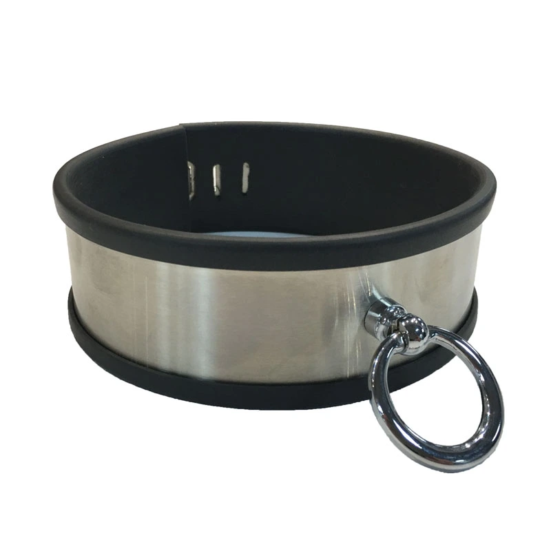 Halsband RVS 1 Halsband RVS