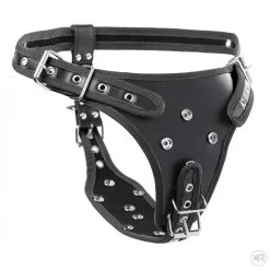 Double Penetration Strap On Harness -Bondage winkel ag785 008 1000x1000