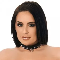 Halsband 2.5 Cm Met Spikes